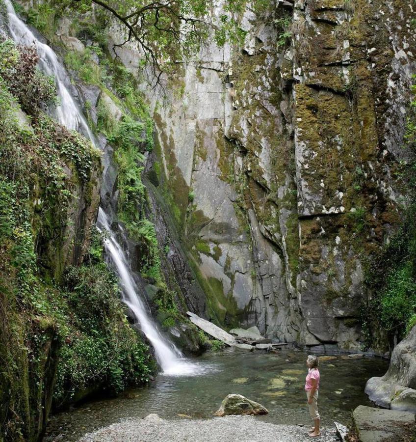 A Pequena Casa Coja Central Portugal Mountains ภายนอก รูปภาพ
